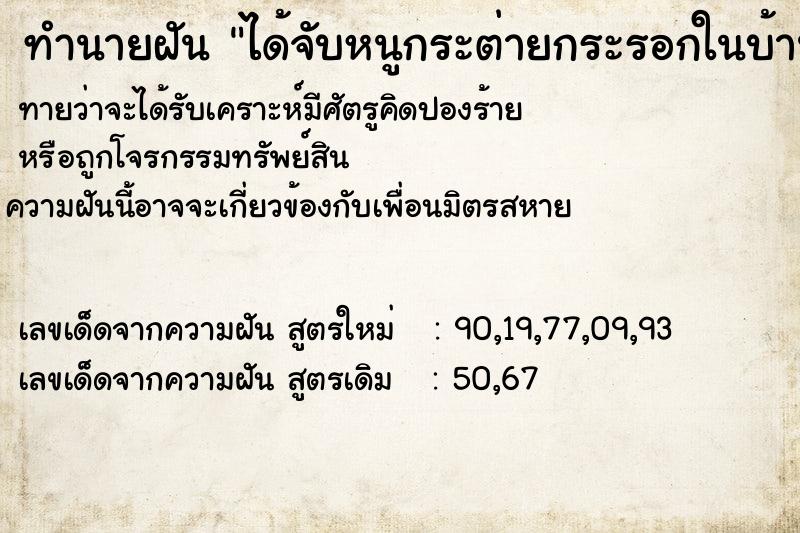 ทำนายฝันทำนายฝันได้จับหนูกระต่ายกระรอกในบ้านของตัวเอง