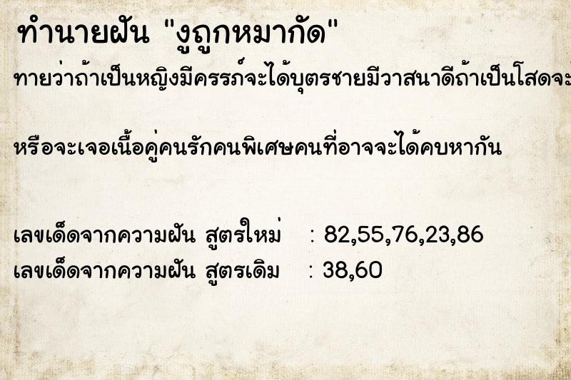ทำนายฝันงูถูกหมากัด ทำนายฝันทำนายฝันงูถูกหมากัด