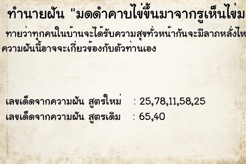 ทำนายฝันมดดำคาบไข่ขึ้นมาจากรูเห็นไข่มดดำขาวเต็มไปหมด ทำนายฝันทำนายฝันมดดำคาบไข่ขึ้นมาจากรูเห็นไข่มดดำขาวเต็มไปหมด