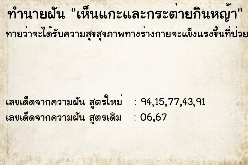 ทำนายฝันเห็นแกะและกระต่ายกินหญ้า ทำนายฝันทำนายฝันเห็นแกะและกระต่ายกินหญ้า