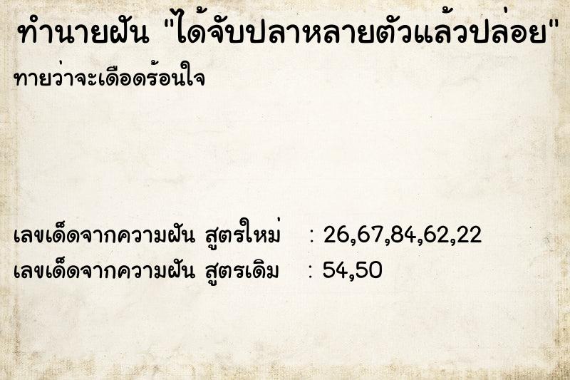 ทำนายฝันทำนายฝันได้จับปลาหลายตัวแล้วปล่อย