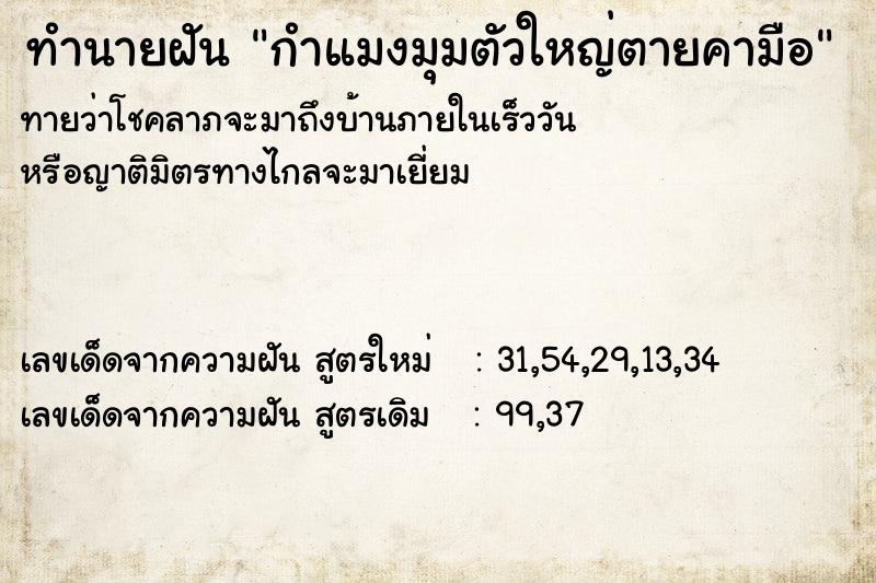 ทำนายฝันทำนายฝันกำแมงมุมตัวใหญ่ตายคามือ