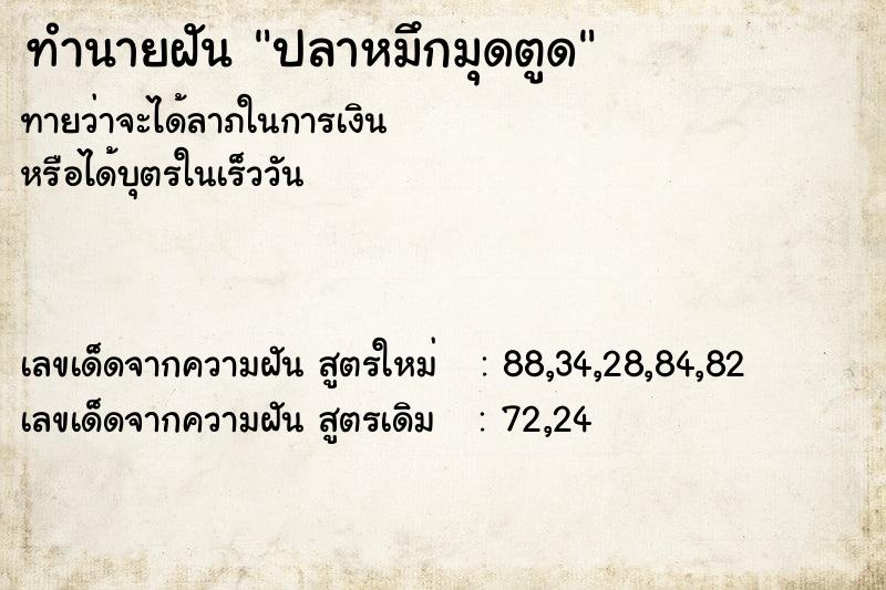 ทำนายฝันปลาหมึกมุดตูด ทำนายฝันทำนายฝันปลาหมึกมุดตูด