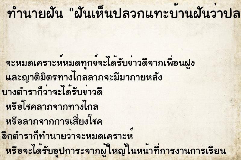 ทำนายฝันฝันเห็นปลวกแทะบ้านฝันว่าปลวกแทะบ้าน ทำนายฝันทำนายฝันฝันเห็นปลวกแทะบ้านฝันว่าปลวกแทะบ้าน