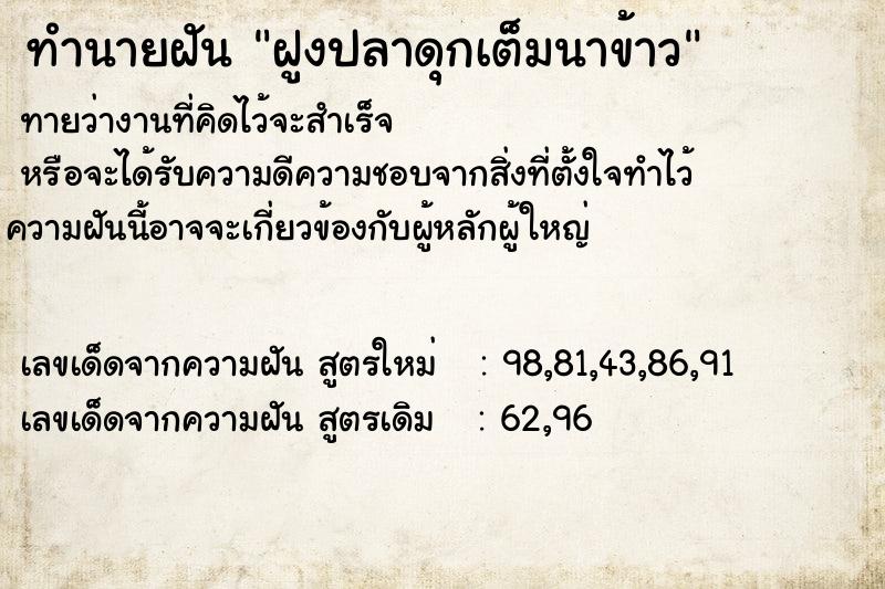 ทำนายฝัน ฝูงปลาดุกเต็มนาข้าว ทำนายฝัน ฝูงปลาดุกเต็มนาข้าว