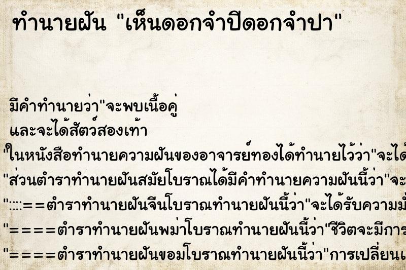 ทำนายฝัน เห็นดอกจำปีดอกจำปา ทำนายฝัน เห็นดอกจำปีดอกจำปา