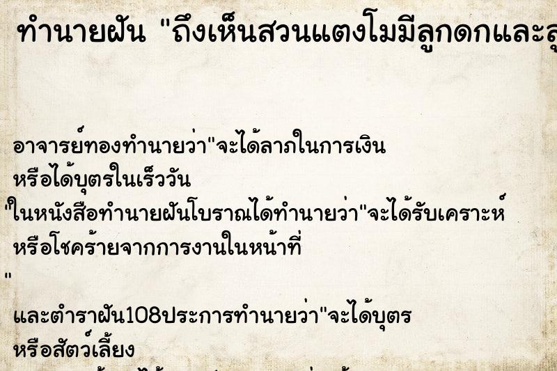 ทำนายฝันทำนายฝันถึงเห็นสวนแตงโมมีลูกดกและลูกใหญ่มาก