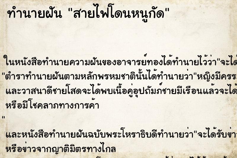 ทำนายฝันสายไฟโดนหนูกัด ทำนายฝันทำนายฝันสายไฟโดนหนูกัด