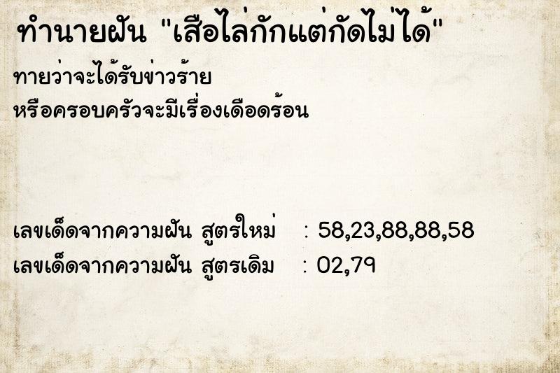 ทำนายฝันเสือไล่กักแต่กัดไม่ได้ ทำนายฝันทำนายฝันเสือไล่กักแต่กัดไม่ได้