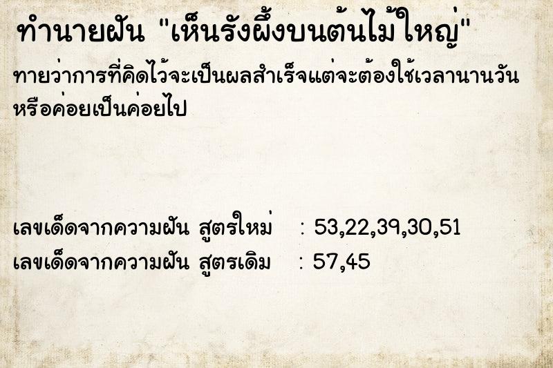 ทำนายฝันเห็นรังผึ้งบนต้นไม้ใหญ่ ทำนายฝันทำนายฝันเห็นรังผึ้งบนต้นไม้ใหญ่