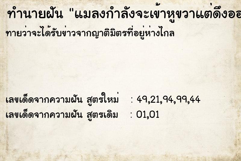 ทำนายฝันแมลงกำลังจะเข้าหูขวาแต่ดึงออกได้ ทำนายฝันทำนายฝันแมลงกำลังจะเข้าหูขวาแต่ดึงออกได้