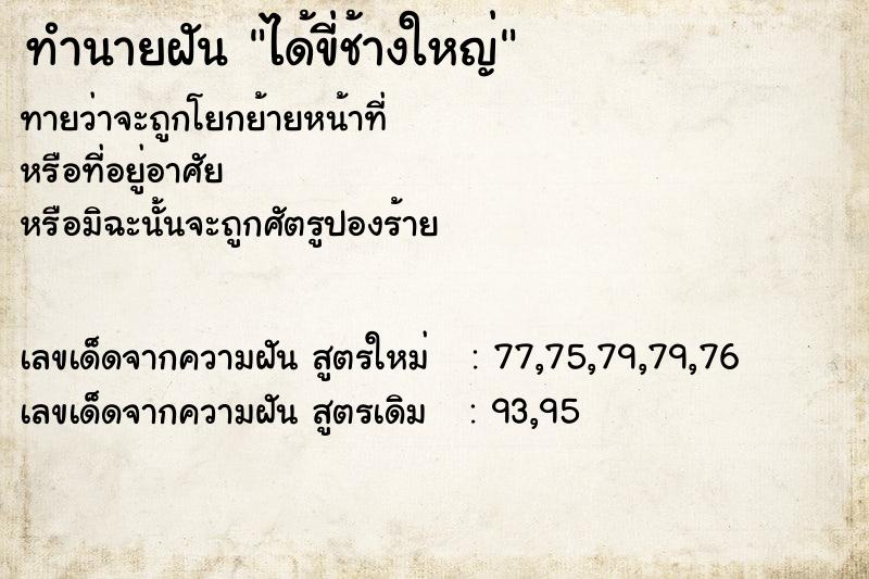 ทำนายฝัน ได้ขี่ช้างใหญ่ ทำนายฝัน ได้ขี่ช้างใหญ่