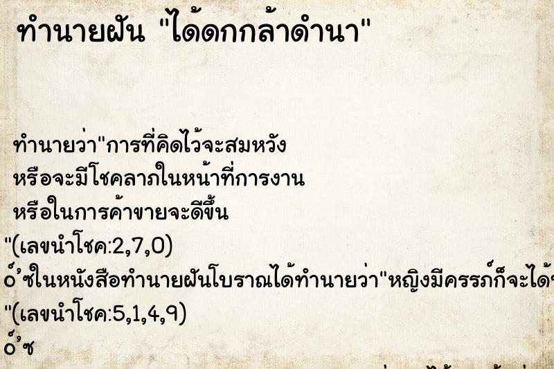ทำนายฝันทำนายฝันได้ดกกล้าดำนา