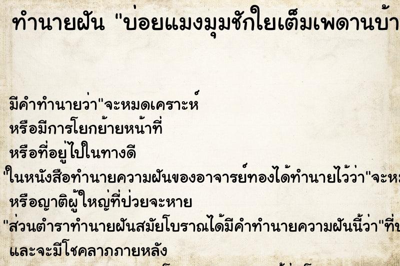 ทำนายฝันบ่อยแมงมุมชักใยเต็มเพดานบ้าน ทำนายฝันทำนายฝันบ่อยแมงมุมชักใยเต็มเพดานบ้าน