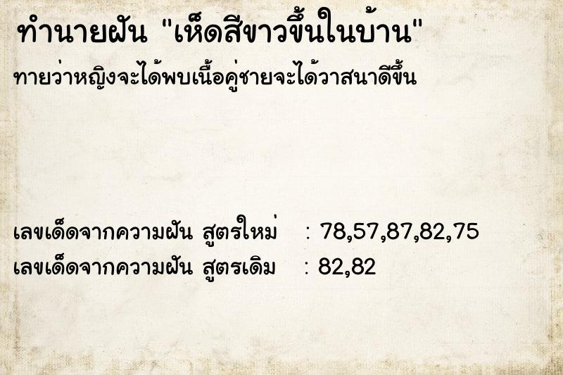 ทำนายฝัน เห็ดสีขาวขึ้นในบ้าน ทำนายฝัน เห็ดสีขาวขึ้นในบ้าน