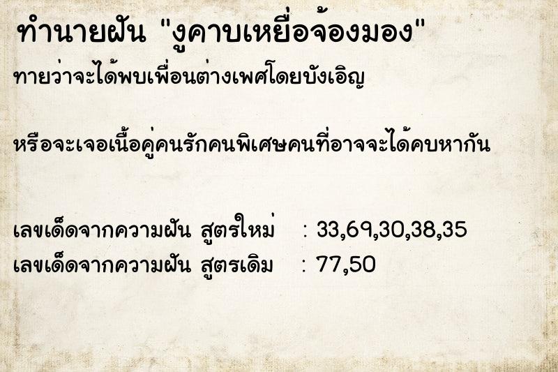 ทำนายฝันทำนายฝันงูคาบเหยื่อจ้องมอง