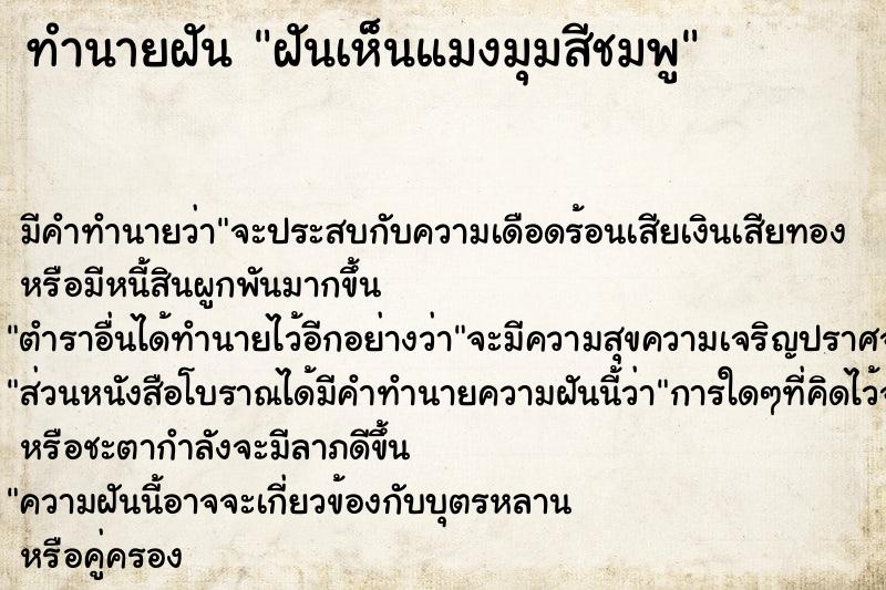 ทำนายฝันฝันเห็นแมงมุมสีชมพู ทำนายฝันทำนายฝันฝันเห็นแมงมุมสีชมพู