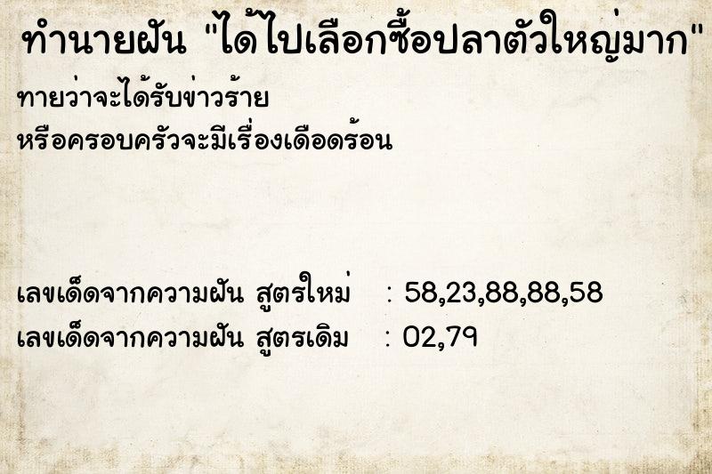 ทำนายฝัน ได้ไปเลือกซื้อปลาตัวใหญ่มาก ทำนายฝัน ได้ไปเลือกซื้อปลาตัวใหญ่มาก