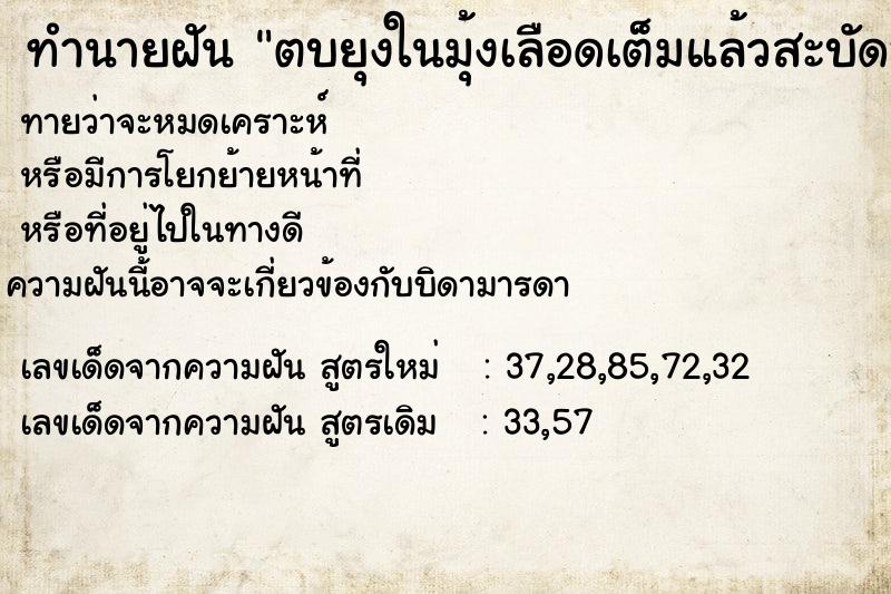 ทำนายฝันตบยุงในมุ้งเลือดเต็มแล้วสะบัดออก ทำนายฝันทำนายฝันตบยุงในมุ้งเลือดเต็มแล้วสะบัดออก