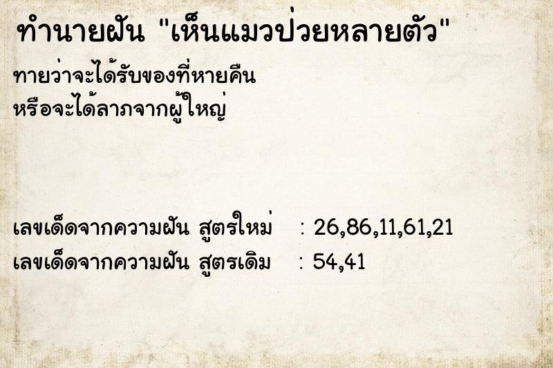 ทำนายฝันเห็นแมวป่วยหลายตัว ทำนายฝันทำนายฝันเห็นแมวป่วยหลายตัว