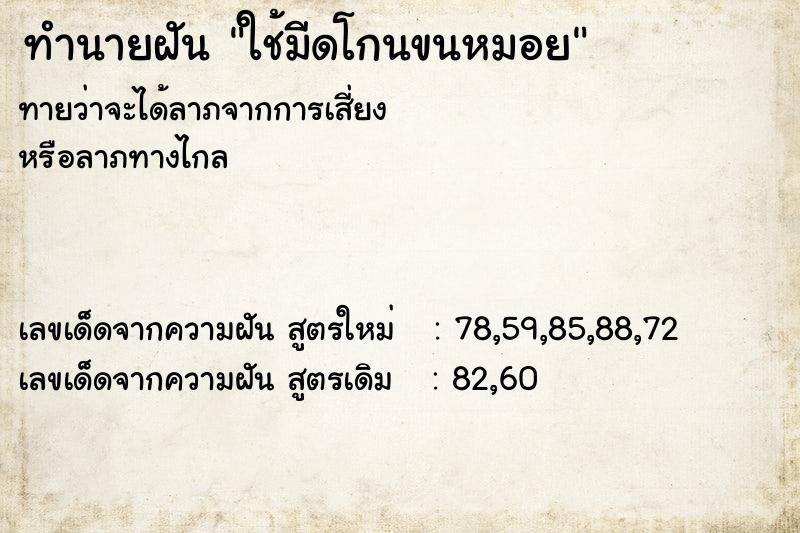 ทำนายฝันทำนายฝันใช้มีดโกนขนหมอย