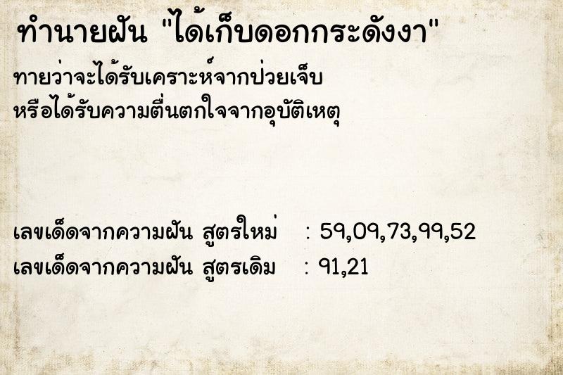 ทำนายฝัน ได้เก็บดอกกระดังงา ทำนายฝัน ได้เก็บดอกกระดังงา