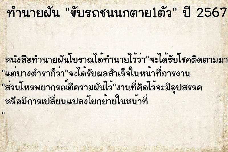 ทำนายฝัน ขับรถชนนกตาย1ตัว ตำราโบราณ แม่นที่สุดในโลก