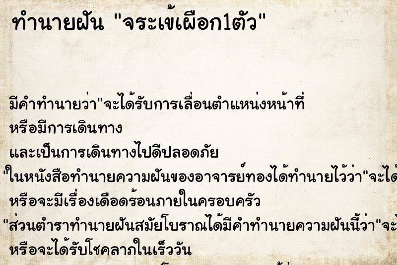 ทำนายฝัน จระเข้เผือก1ตัว ทำนายฝัน จระเข้เผือก1ตัว