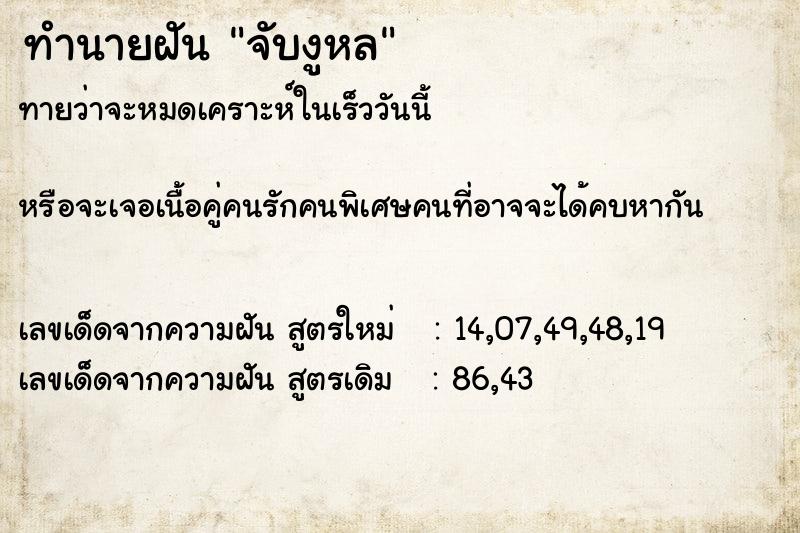 ทำนายฝันจับงูหล ทำนายฝันทำนายฝันจับงูหล