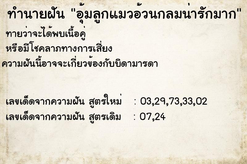 ทำนายฝันอุ้มลูกแมวอ้วนกลมน่ารักมาก ทำนายฝันทำนายฝันอุ้มลูกแมวอ้วนกลมน่ารักมาก