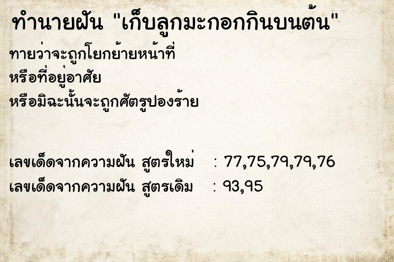 ทำนายฝันทำนายฝันเก็บลูกมะกอกกินบนต้น