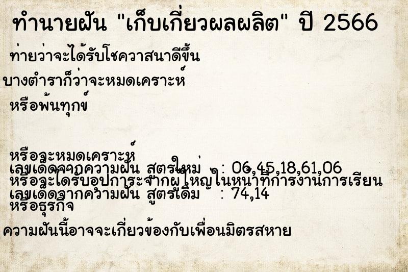 ทำนายฝันทำนายฝันเก็บเกี่ยวผลผลิต