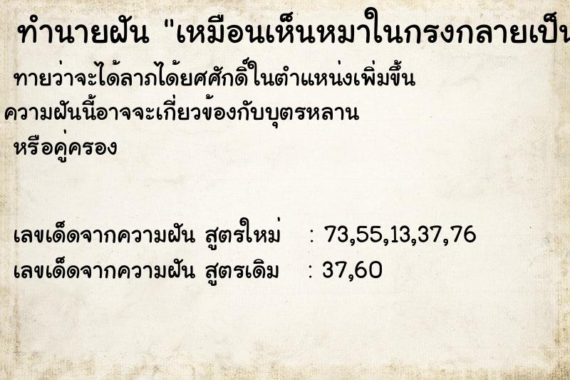 ทำนายฝันเหมือนเห็นหมาในกรงกลายเป็นเสือ ทำนายฝันทำนายฝันเหมือนเห็นหมาในกรงกลายเป็นเสือ