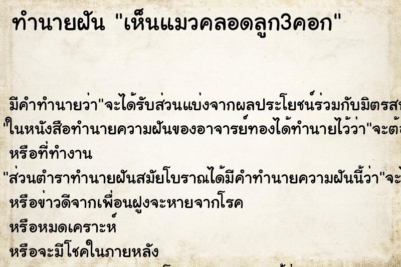 ทำนายฝัน เห็นแมวคลอดลูก3คอก ตำราโบราณ แม่นที่สุดในโลก