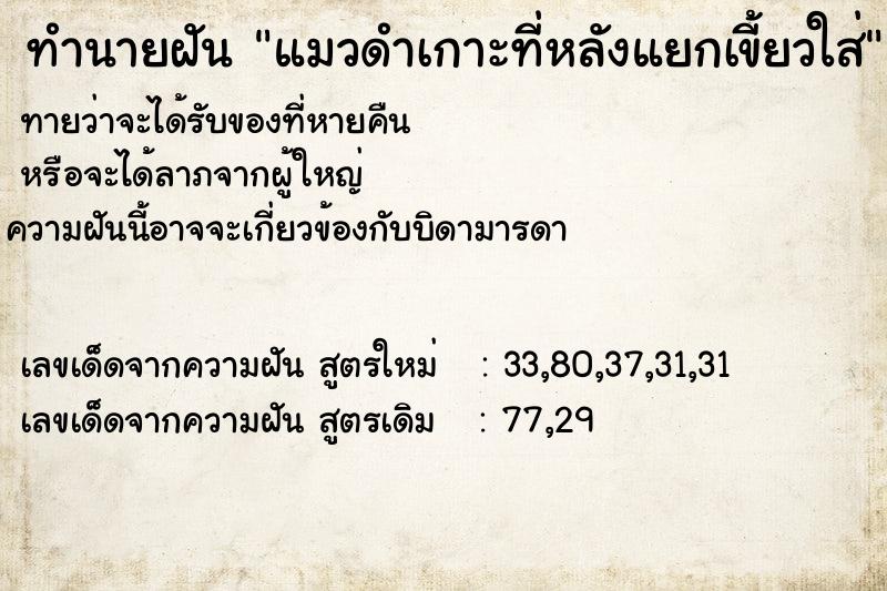 ทำนายฝันทำนายฝันแมวดำเกาะที่หลังแยกเขี้ยวใส่