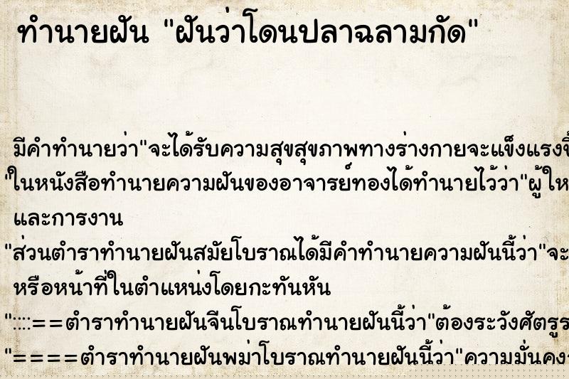 ทำนายฝัน ฝันว่าโดนปลาฉลามกัด