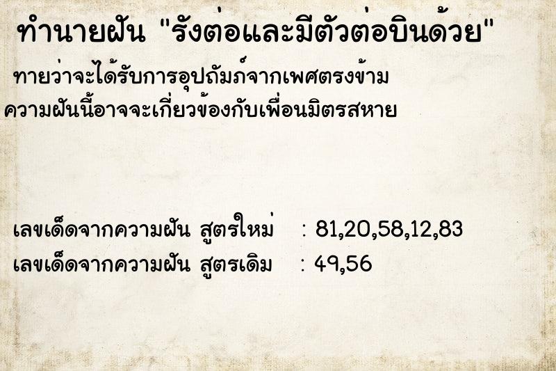 ทำนายฝันทำนายฝันรังต่อและมีตัวต่อบินด้วย