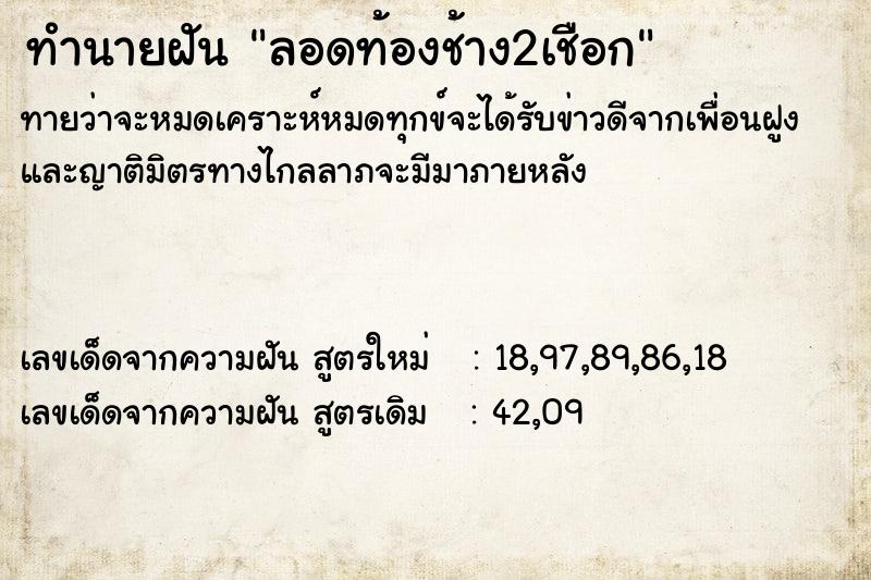 ทำนายฝัน ลอดท้องช้าง2เชือก