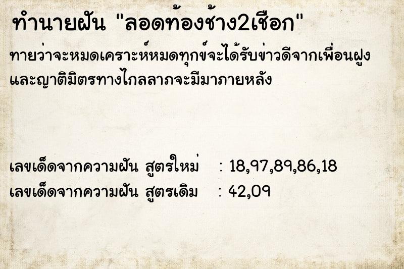 ทำนายฝัน ลอดท้องช้าง2เชือก ตำราโบราณ แม่นที่สุดในโลก