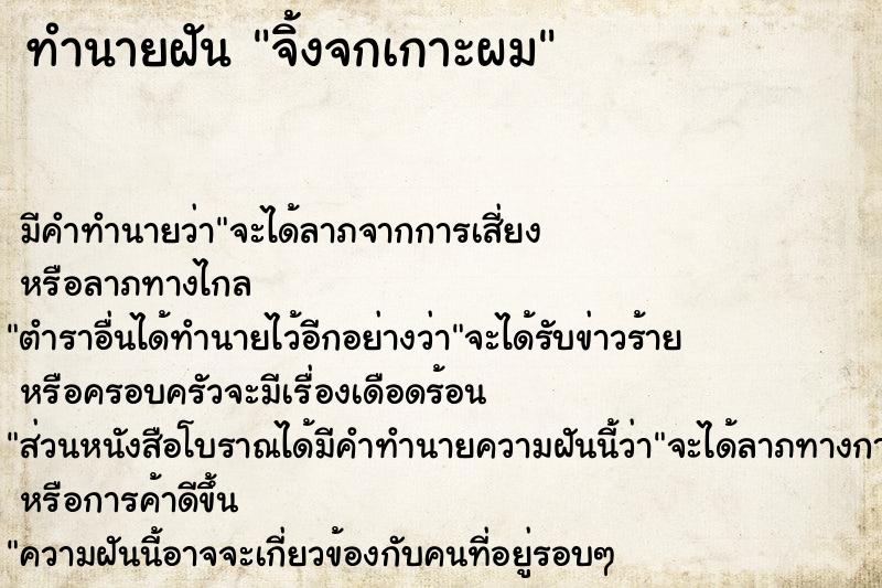 ทำนายฝัน จิ้งจกเกาะผม ทำนายฝัน จิ้งจกเกาะผม
