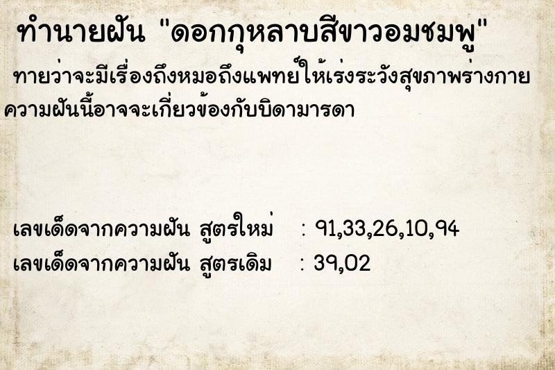 ทำนายฝันดอกกุหลาบสีขาวอมชมพู ทำนายฝันทำนายฝันดอกกุหลาบสีขาวอมชมพู