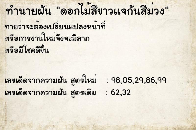 ทำนายฝันดอกไม้สีขาวแจกันสีม่วง ทำนายฝันทำนายฝันดอกไม้สีขาวแจกันสีม่วง