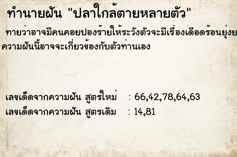 ทำนายฝันทำนายฝันปลาใกล้ตายหลายตัว