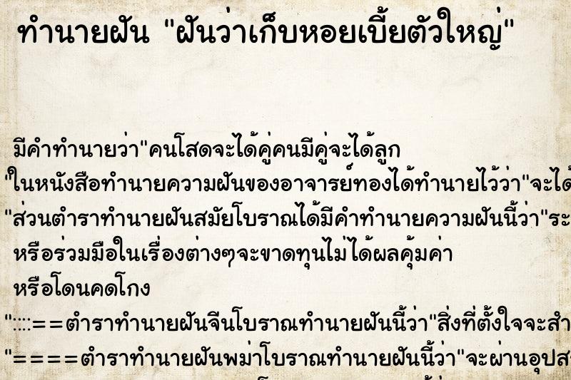 ทำนายฝัน ฝันว่าเก็บหอยเบี้ยตัวใหญ่ ตำราโบราณ แม่นที่สุดในโลก