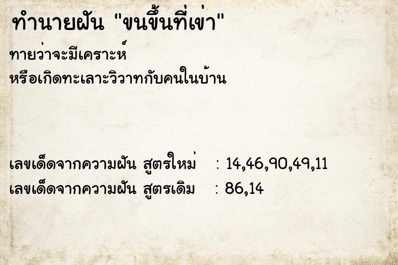 ทำนายฝันขนขึ้นที่เข่า ทำนายฝันทำนายฝันขนขึ้นที่เข่า