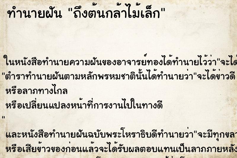 ทำนายฝันถึงต้นกล้าไม้เล็ก ทำนายฝันทำนายฝันถึงต้นกล้าไม้เล็ก