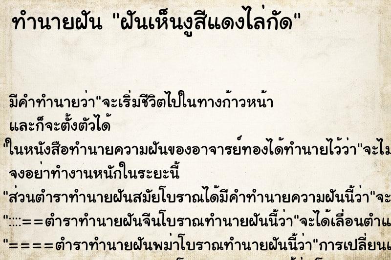 ทำนายฝันฝันเห็นงูสีแดงไล่กัด ทำนายฝันทำนายฝันฝันเห็นงูสีแดงไล่กัด