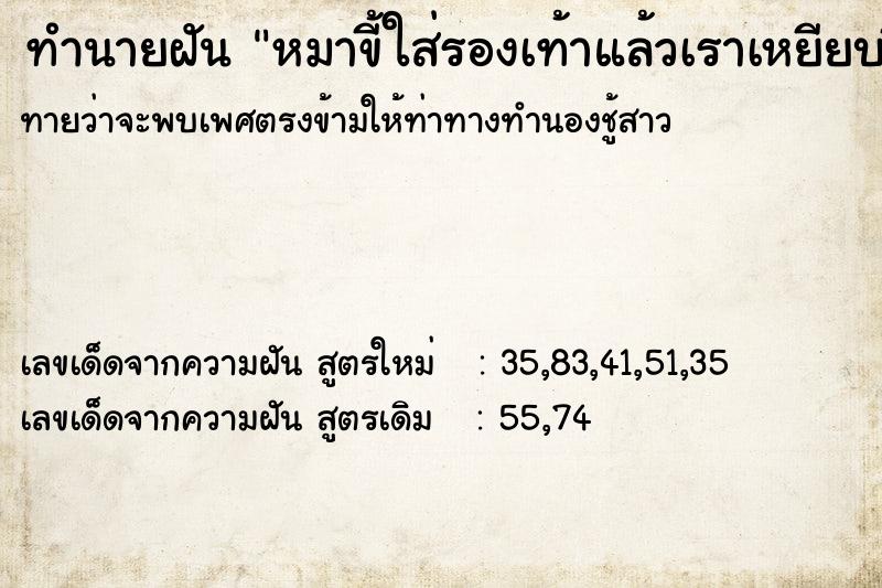 ทำนายฝันทำนายฝันหมาขี้ใส่รองเท้าแล้วเราเหยียบขี้