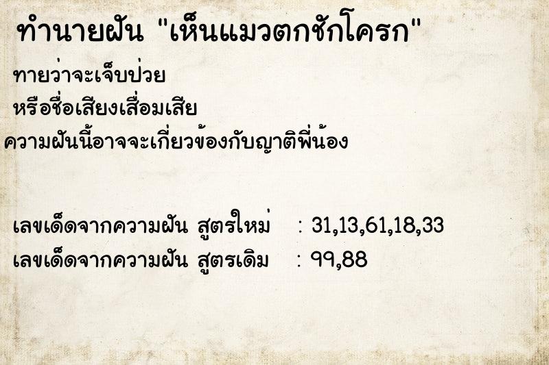 ทำนายฝันเห็นแมวตกชักโครก ทำนายฝันทำนายฝันเห็นแมวตกชักโครก