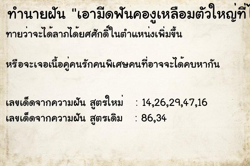 ทำนายฝันทำนายฝันเอามีดฟันคองูเหลือมตัวใหญ่ที่ไล่ตาม